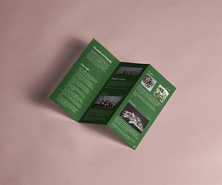 graphic design services - Emmelie Coulson Design