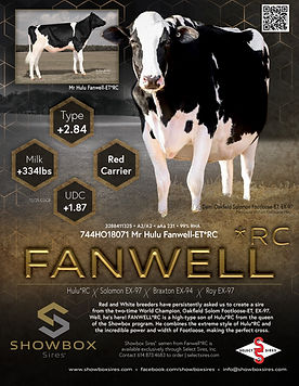 fanwell flyer.jpg