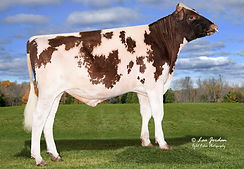 HML30845 MR Hastoric Alonzo-Red-ET.jpg