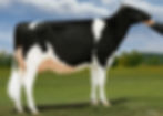 Duckett Acetylene Boo, VG-86