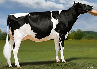 HFB16502 Duckett Ranger 1133-ET.jpg