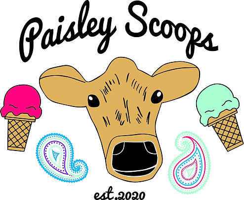 paisley scoops 3.jpg