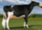 Kings-Ransom Deltal Slammin-ET, EX-91