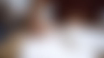 こどもえいごリニューアル