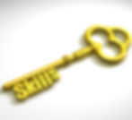 Key with the word skills