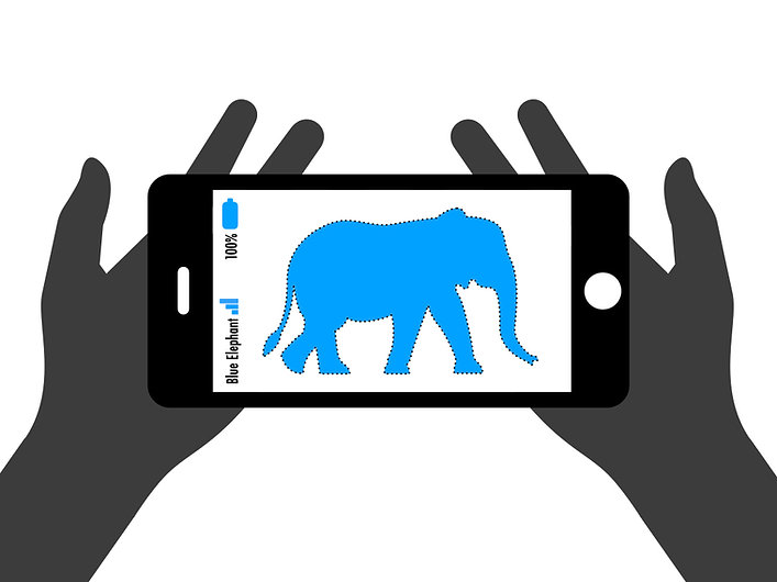 BlueElephant_graphic.jpeg