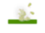 4) Dispersion