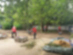 Garten Landschaftsbau