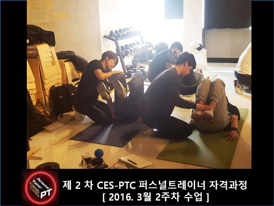 CESKOREA PTC 퍼스널트레이너 과정 2기 2주차 (16).JPG
