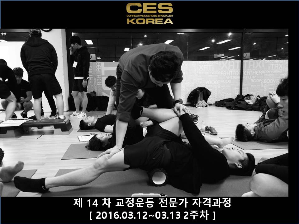 CES KOREA 14차 교정운동전문가과정 2주차 2016031213 (15).JPG