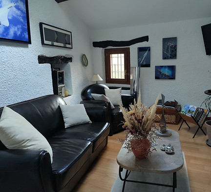 Lounge area with leather sofas, a large dried flower bouquet on the coffee table, and a Concorde-themed decor