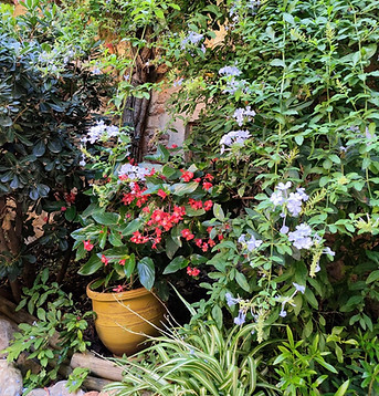 Jardin fleuri et ombragé de notre gîte de charme à sainte colombe de la commanderie