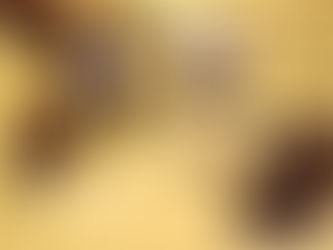 Why Hotel Sun International Is a Popular Budget Hotel in Paharganj