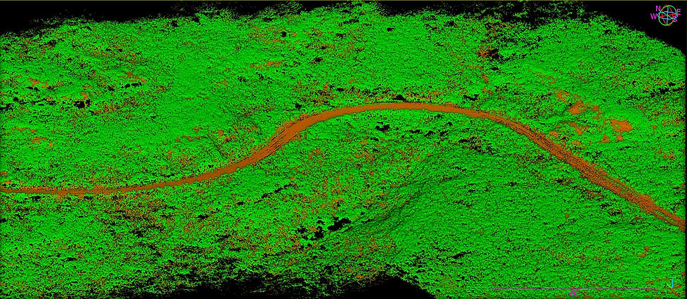 Drone LiDAR Classification