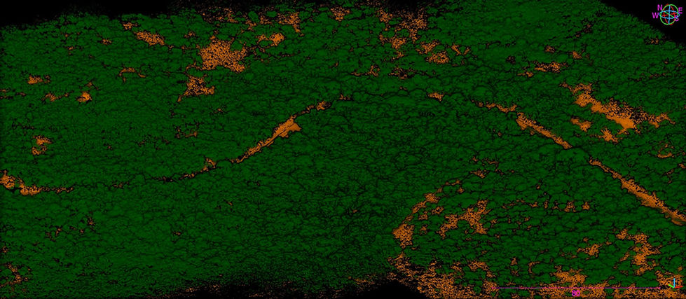 LiDAR drone Point Cloud