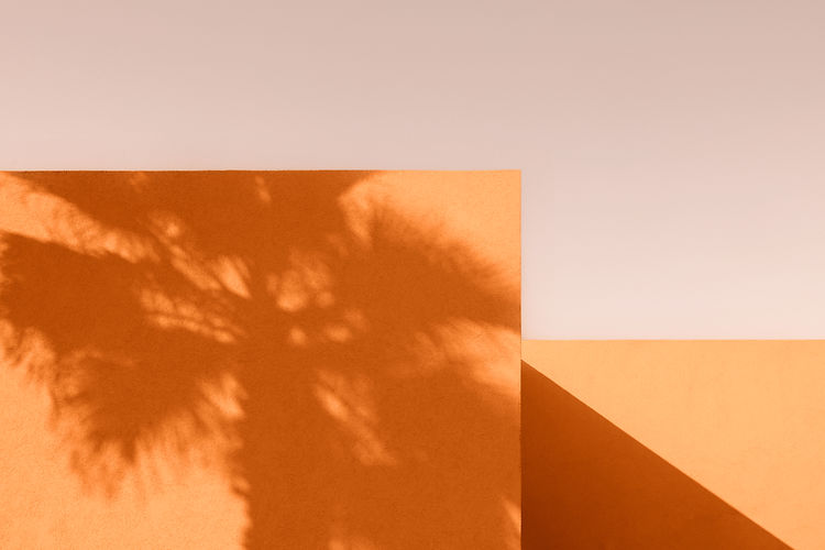 Tree Shadow on Wall_edited.jpg