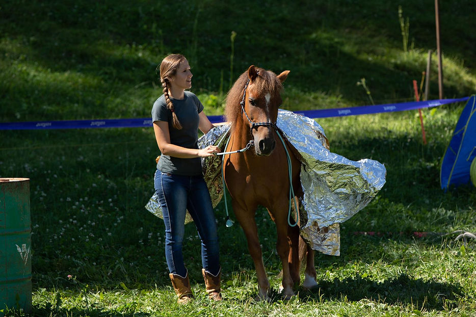 WhatsApp Bild 2025-05-02 um 15.11.40_9d4b482c.jpg