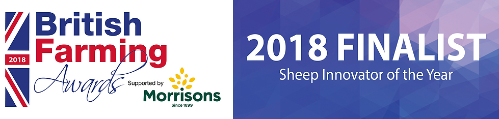 BFA finalists Logo rectangle - Sheep (1)