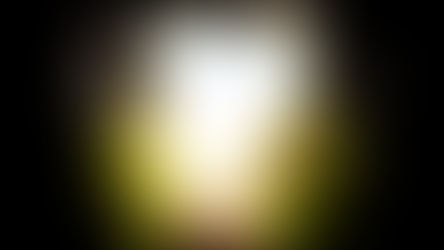 On Culture: How Regret Can Lead Us Forward