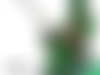 Michael Sean Piper: Week 48 of 208