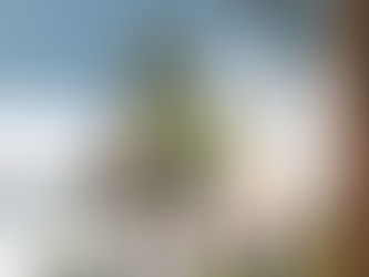 Michael Sean Piper: Week 46 of 208