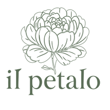 logo con trazos VERDE sin color.png