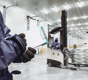 logistec_congelados_ed150.jpg