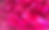 07DD05A2-9D2C-4CE8-B805-169B4041875A_edi
