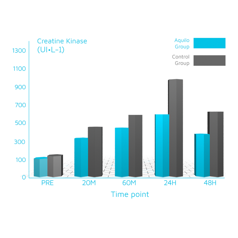 muscle_8d3e50fb-5b5b-470b-9a20-397408e85d58_2000x (1).png