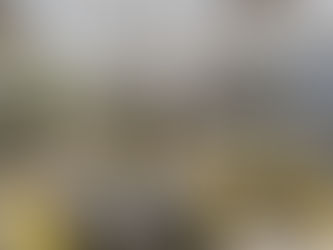 Small Conference Venue in Middelburg