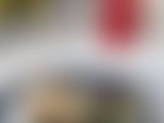 Year-End Function Venue in Middelburg Mpumalanga