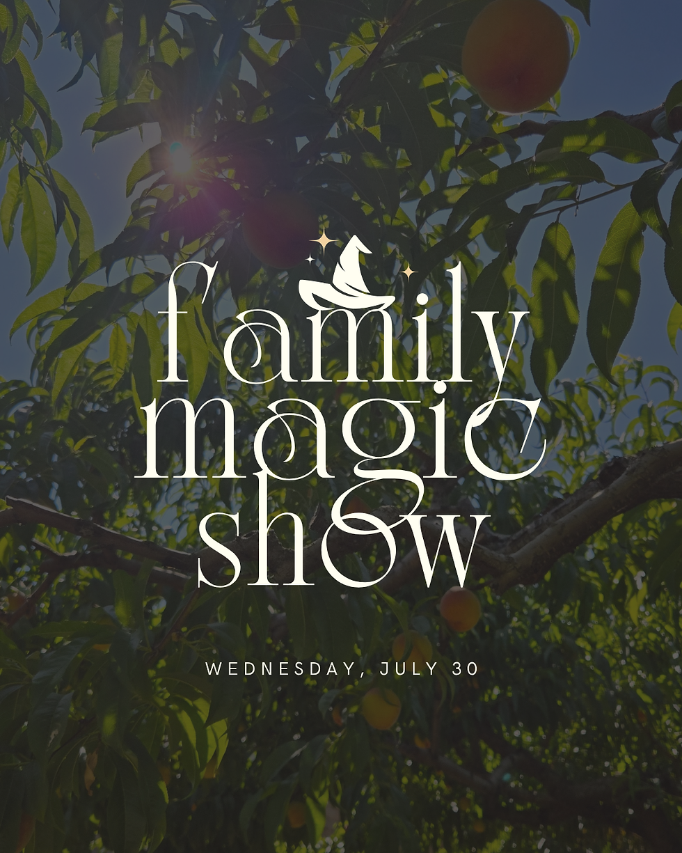 Family Magic Show with Leif David