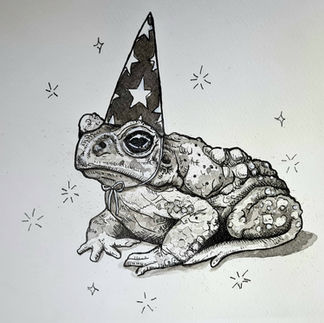 Toad - Amy Wheeler-Harris. Bounce - Amy Wheeler-Harris - An ink drawing of a toad wearing a wizard's hat