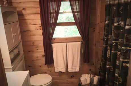 Bathroom toilet and shower and curtain on the window in the Cozy and rustic Moose Pond Vacation rental in Denmark Maine