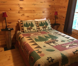 Rustic bedroom with pine walls, nature-themed bedding. Denmark Maine vacation home.