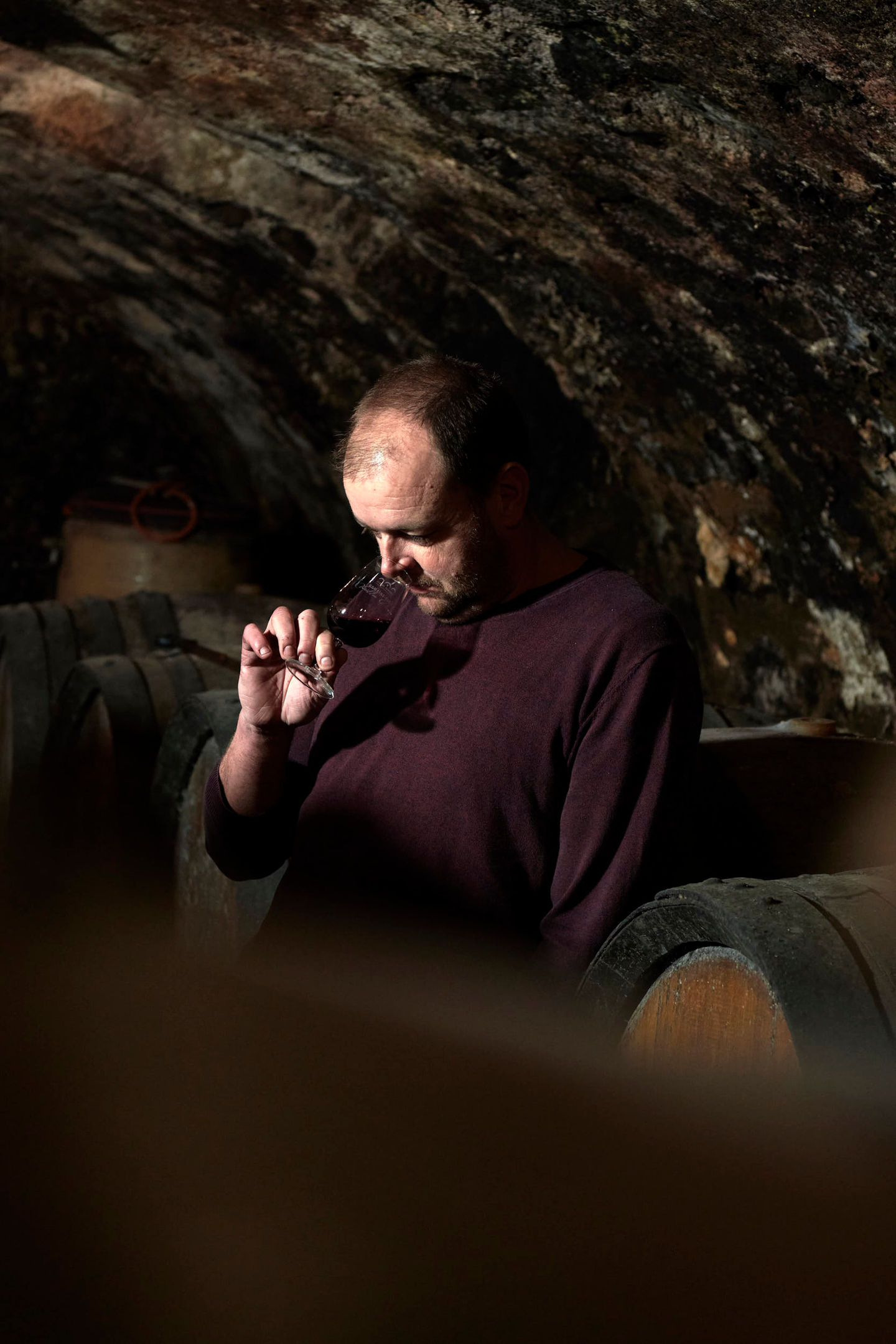 Studio Fabrice Ferrer Photographe viticulture