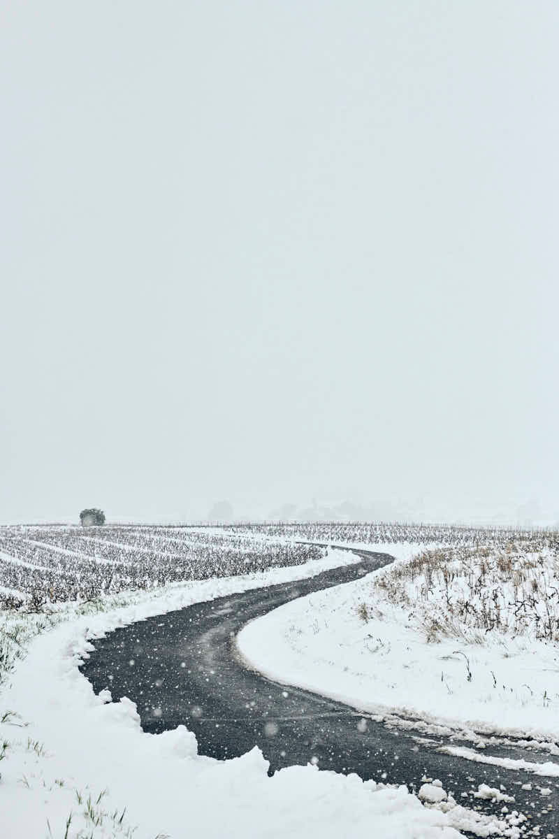 Photographie d'art route enneigée en courbe dans les vignes, paysage minimaliste noir et blanc sous la neige, tirage de colle