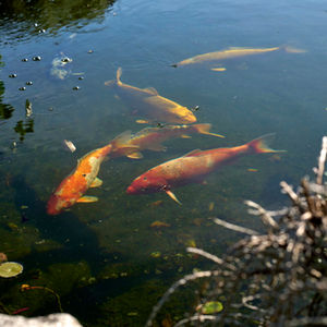 Fabrice Ferrer photographe architecture paysagiste espace d'exception