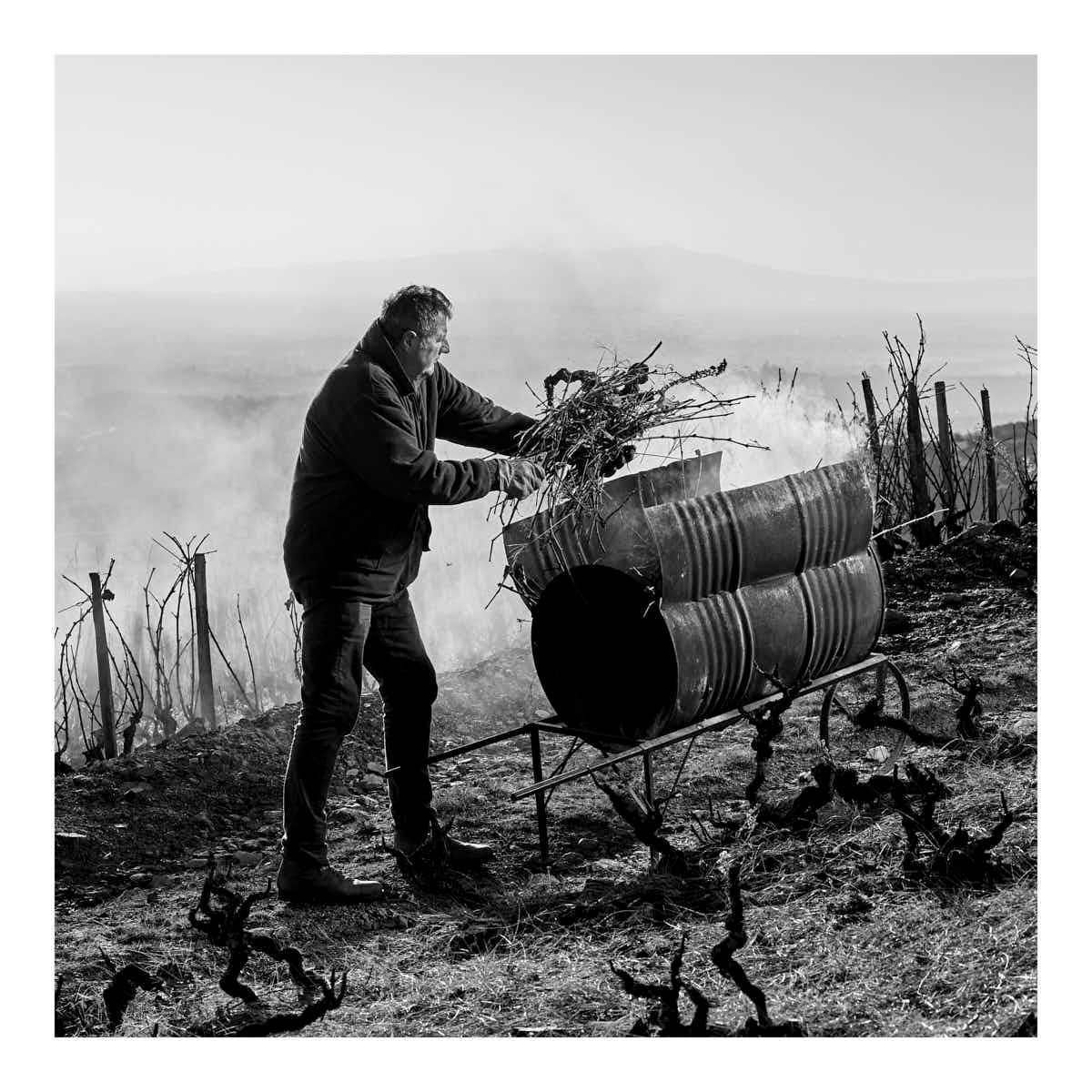 Tirage d'art carré noir et blanc Social Wall n°5, vigneron tête nue brûlant des sarments dans un fût métallique sur charrette