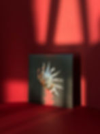 Old Flame Black Rain Secret 7“