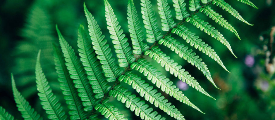 One week to go! Register now for our first community symposium