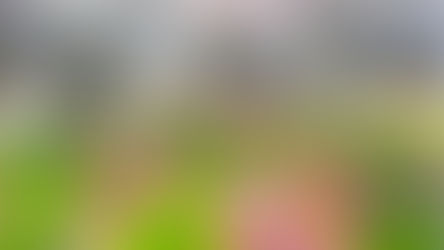 共感する大切さ