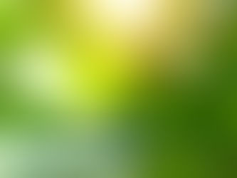 自分を大切に扱う時間