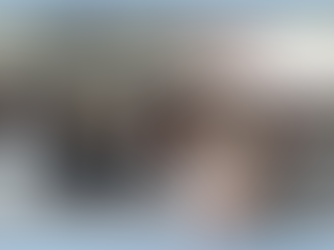 O INÍCIO DO ELO SOCIAL NO ESTADO DE PERNAMBUCO 
