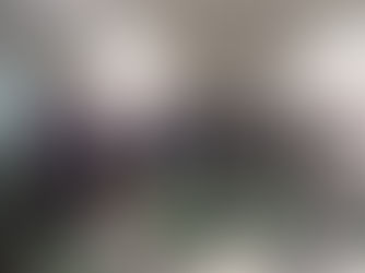 GRUPO INER É RECEBIDO NO MINISTÉRIO DA AGRICULTURA EM BRASÍLIA