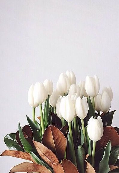 fresh bouquets.jpeg