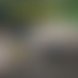 Bakłażan i Grażyna