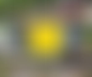 Strefa Przemiany - start projektu