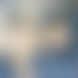 What Do Dogs Dream About?