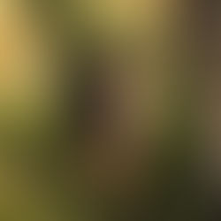 Bliskość nie zawsze znaczy bezpieczeństwo